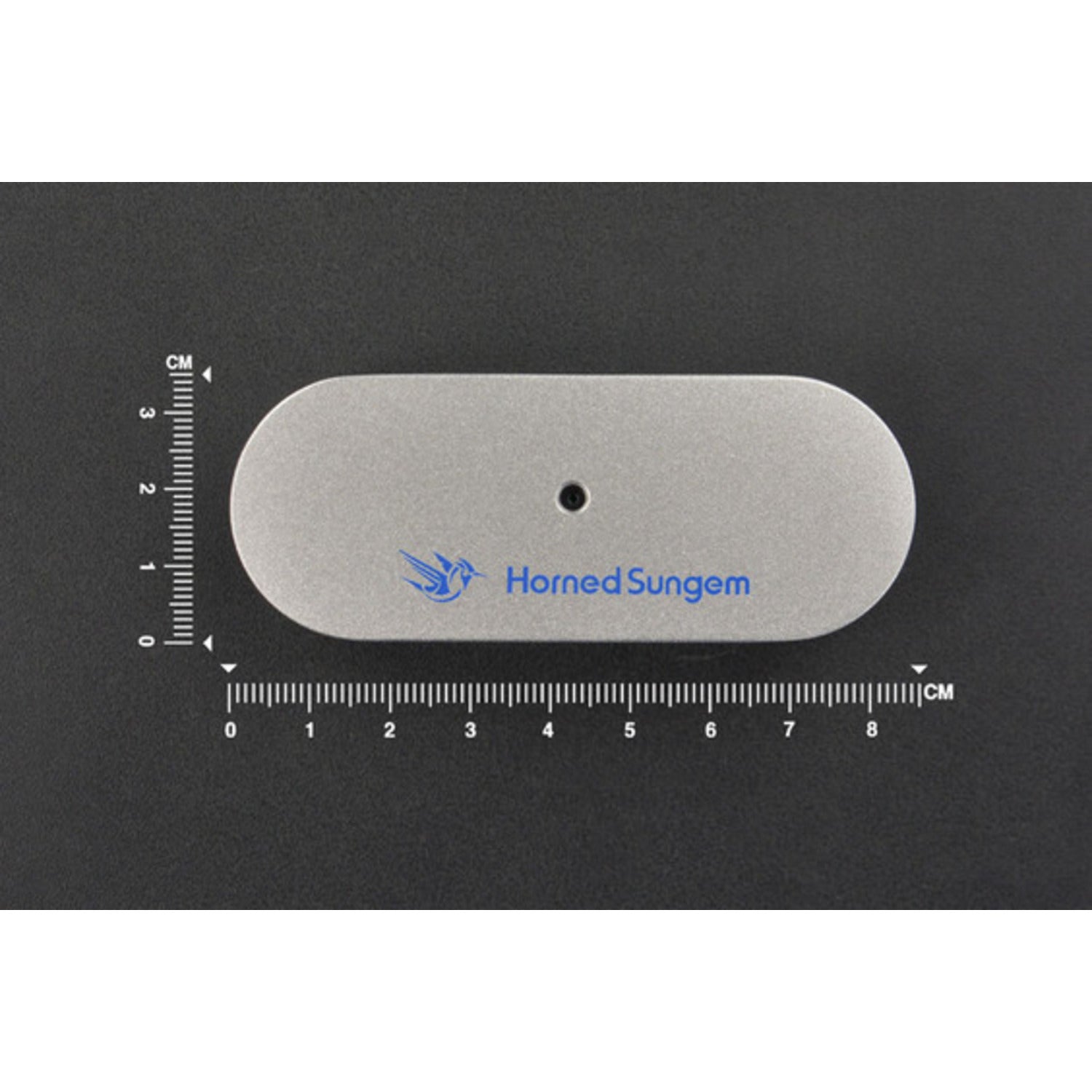 Horned Sungem AI Vision Kit: Easy AI Application Creation
