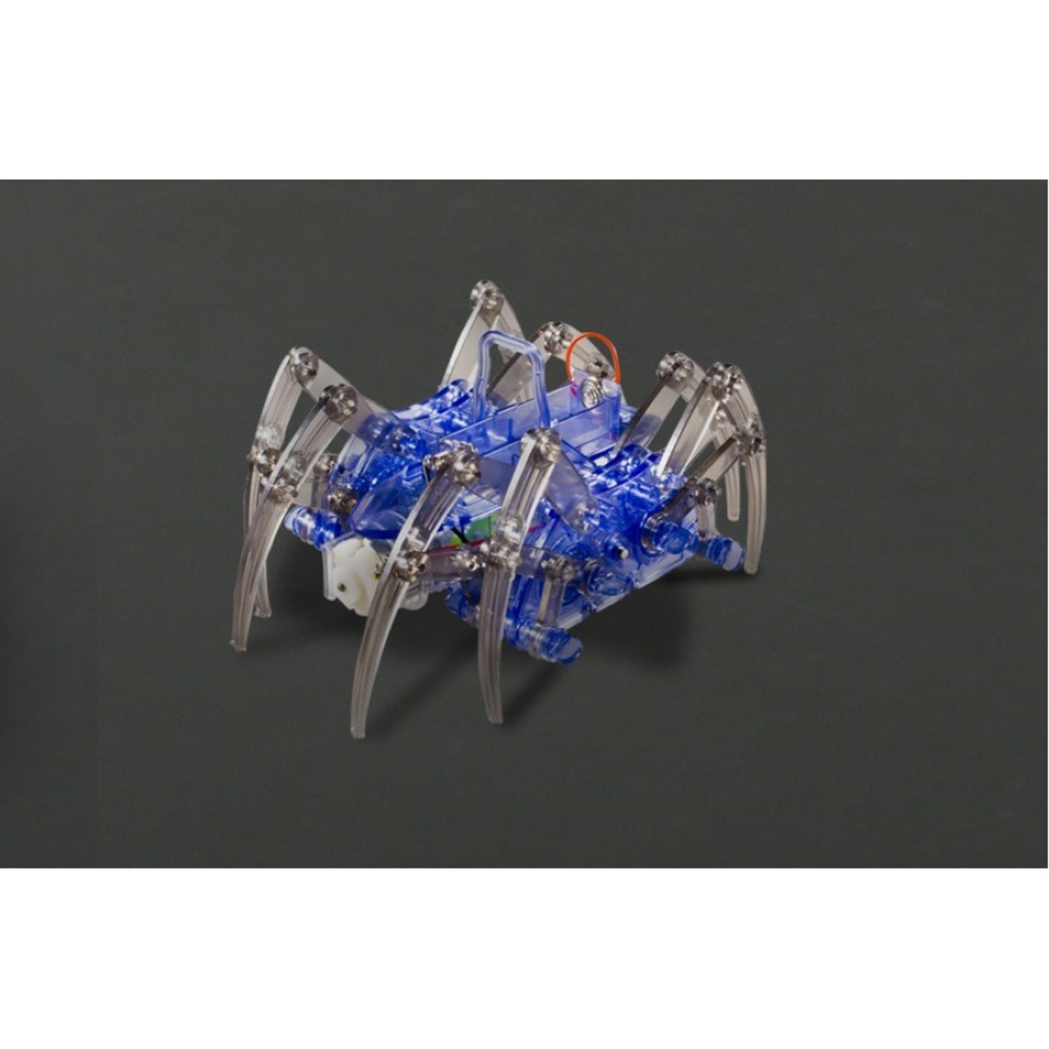 Fun DIY Battery-Powered Spider Robot for Endless Creativity