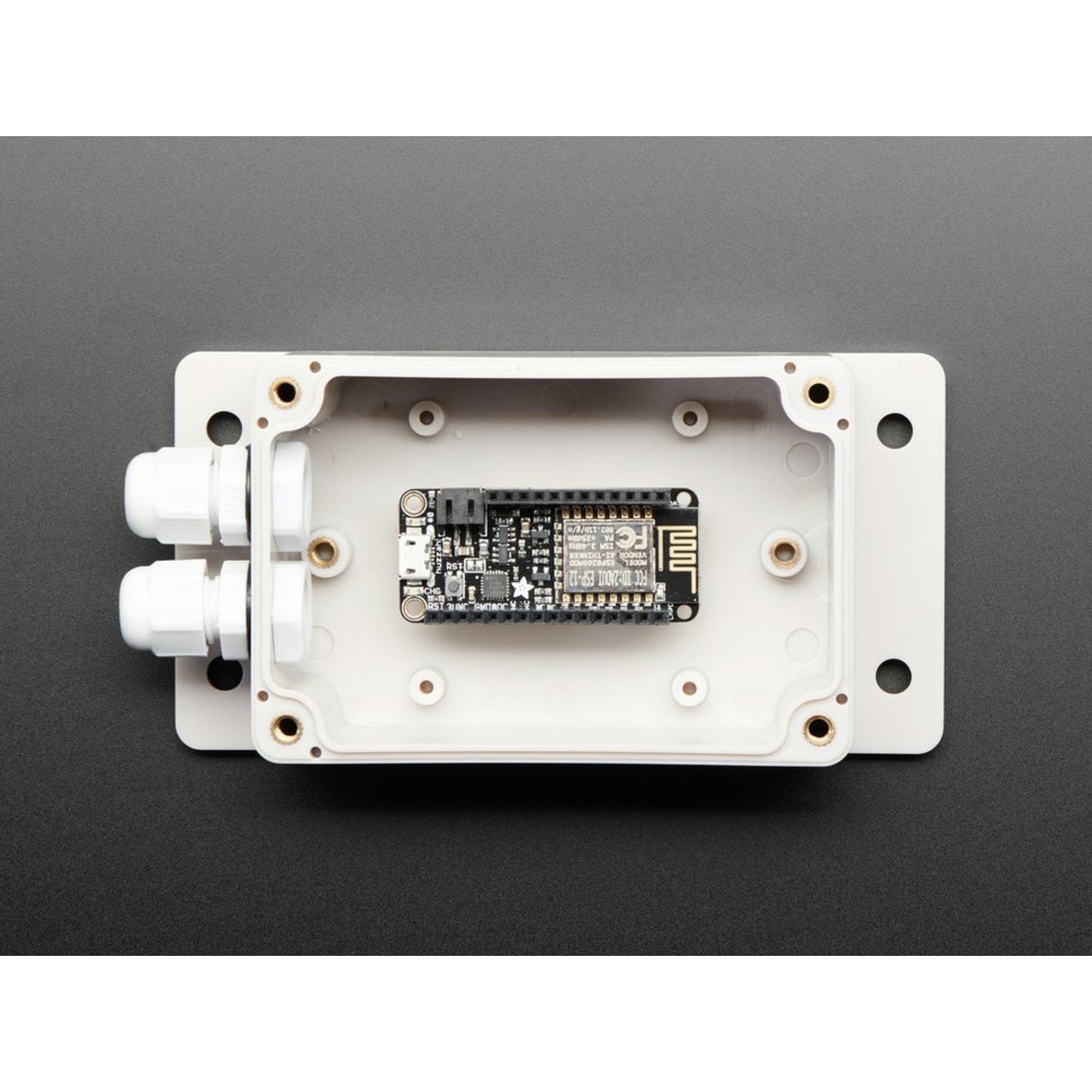 Industrial Flanged Weather - Resistant Enclosure Equipped with PG - 7 Cable Glands