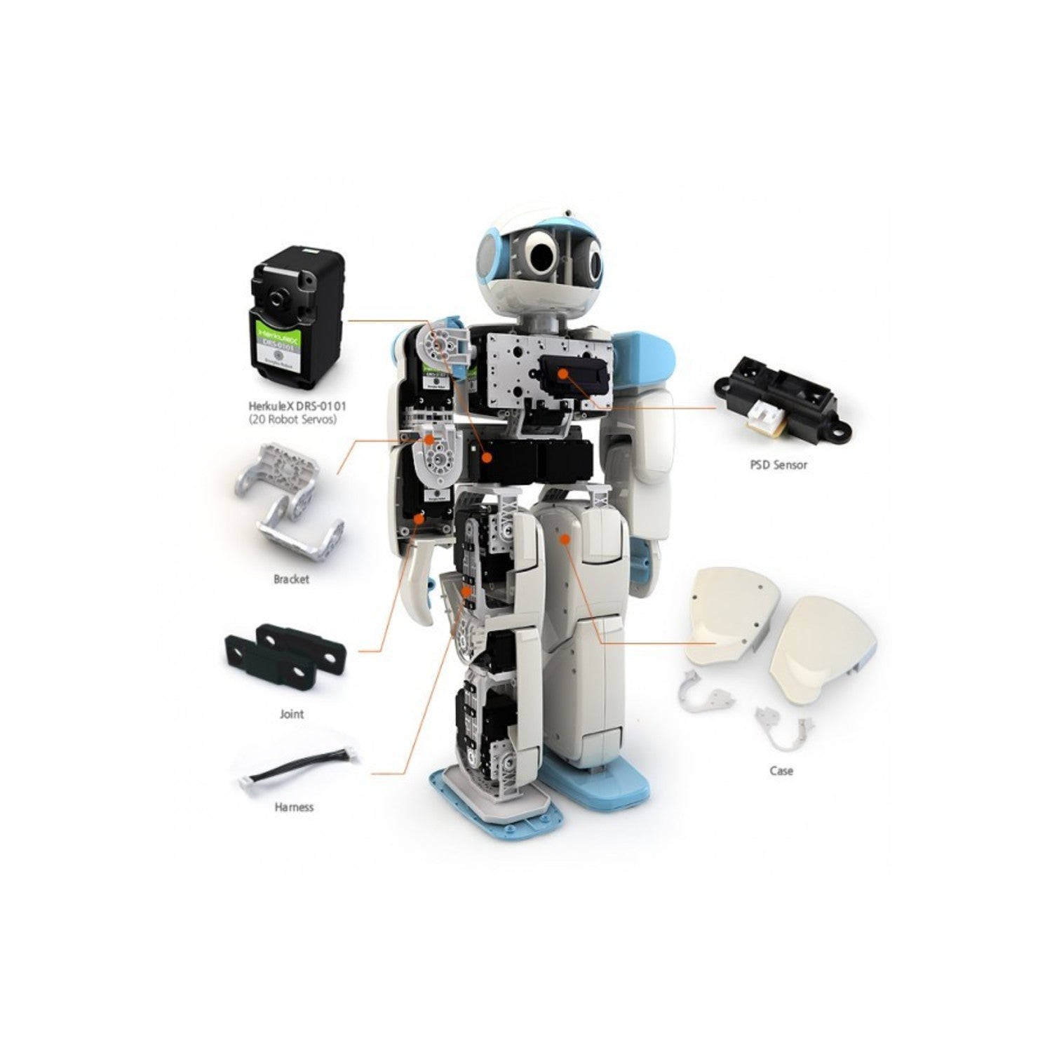 HOVIS Eco Plus 20 Degree of Freedom (DOF) Advanced Humanoid Robot Kit for Enthusiasts