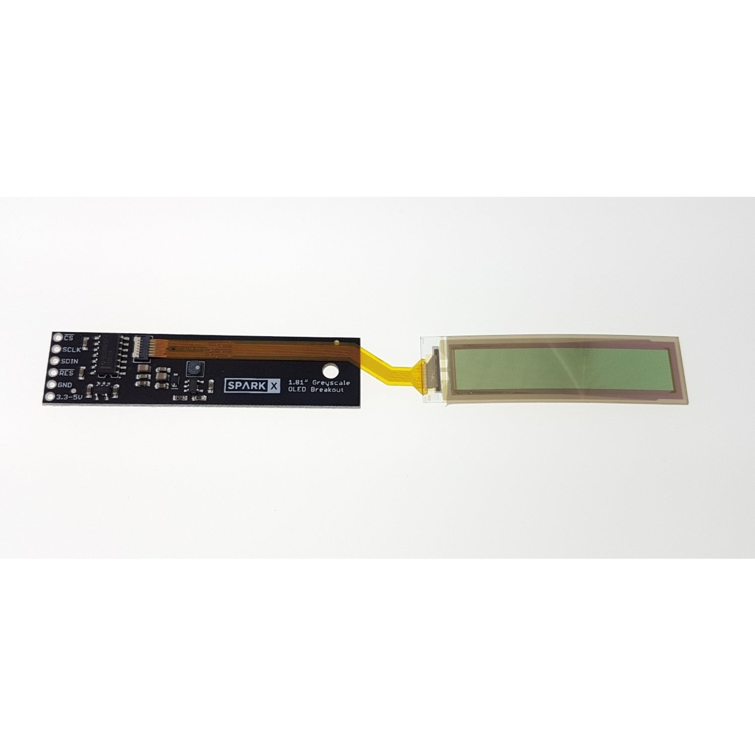 1.81-Inch Flexible Grayscale OLED Display with Impressive Graphics