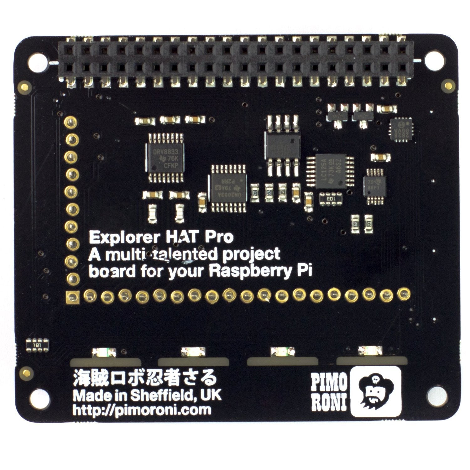 Enhanced Explorer HAT Pro: Ideal for Raspberry Pi Projects