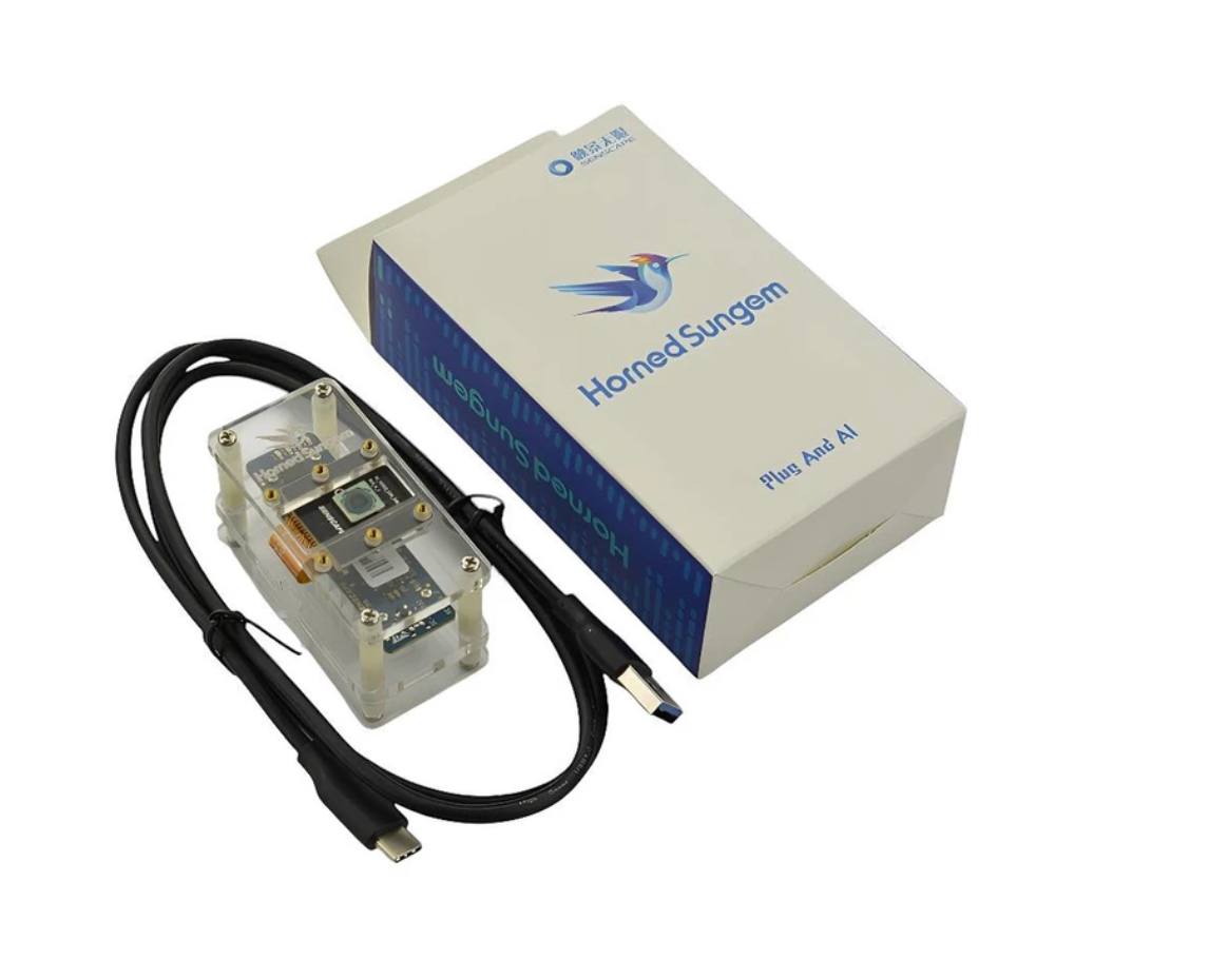 Horned Sungem AI Vision Kit V1.0: High - Performance, Low - Power Solution