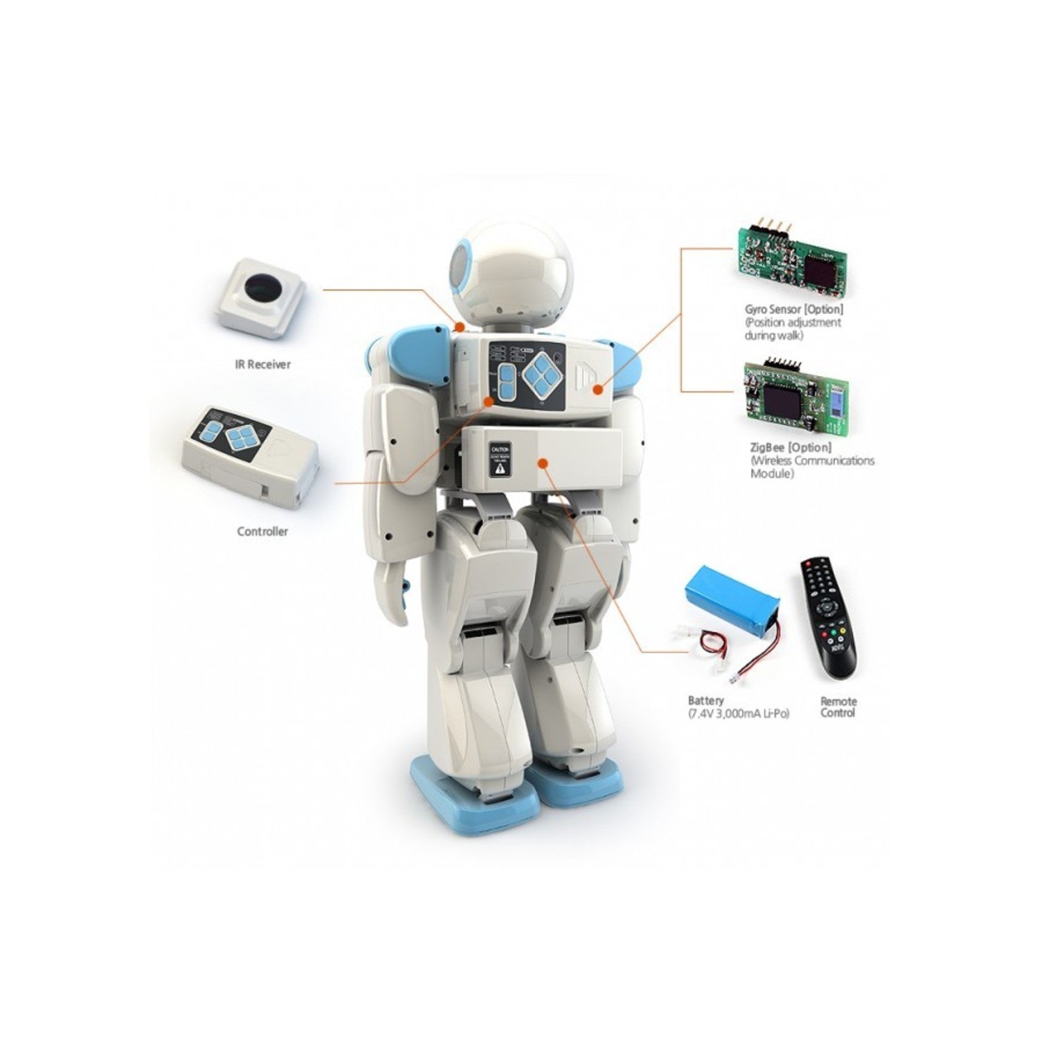HOVIS Eco Plus 20 Degree of Freedom (DOF) Advanced Humanoid Robot Kit for Enthusiasts