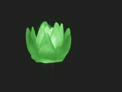 Unexpected Labs dLUX - dLITE Green Succulent - Shaped LED Lights Pack of 5 for Electronics Projects