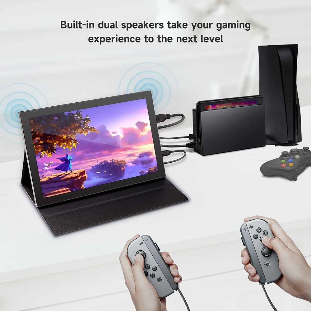 10.1" High-Definition IPS Capacitive Touch Display with 1280*800 Resolution