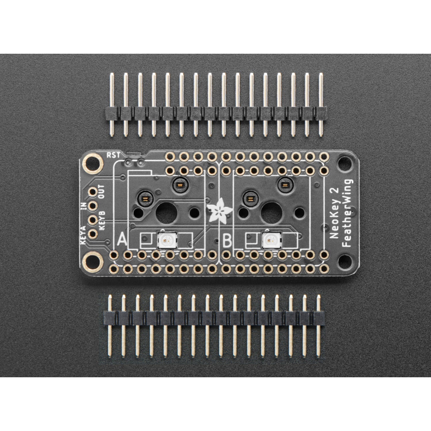 Adafruit NeoKey FeatherWing: Two Glowing Mechanical Key Switches for Feather Boards