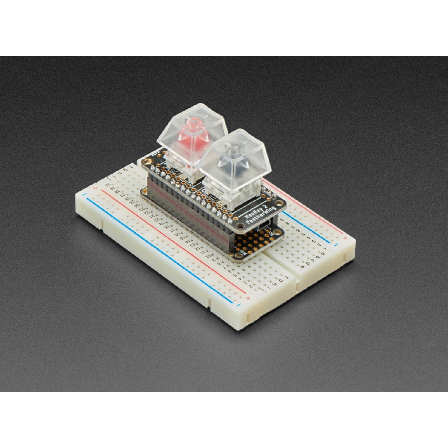 Adafruit NeoKey FeatherWing: Two Glowing Mechanical Key Switches for Feather Boards