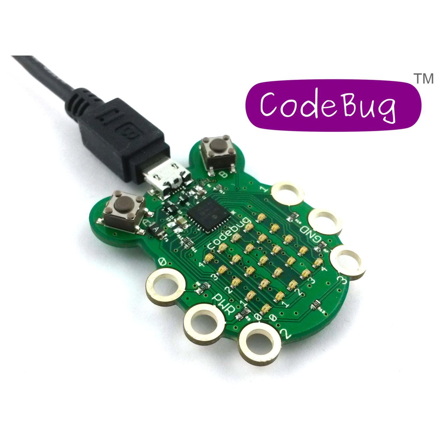 CodeBug: A Cute, Wearable & Programmable Device for All Ages