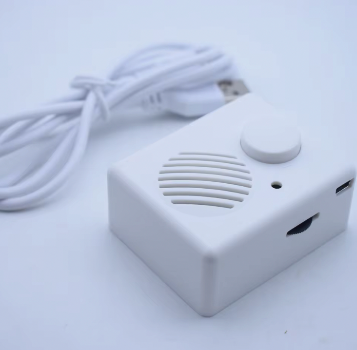 3MB Capacity MP3 Playback Portable Sound Box for DIY and Audio Enthusiasts