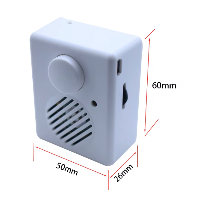 3MB Capacity MP3 Playback Portable Sound Box for DIY and Audio Enthusiasts